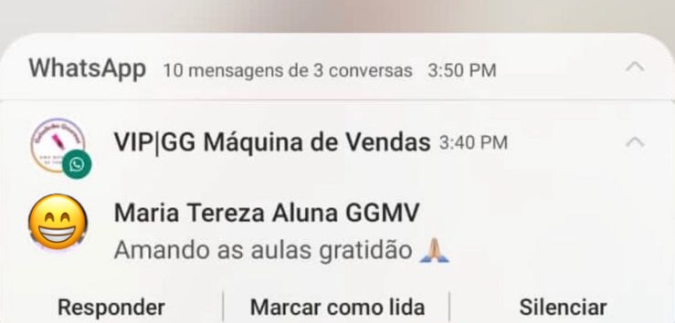 Alunas do Curso Geladinho Gourmet - Uma Máquina de Vendas